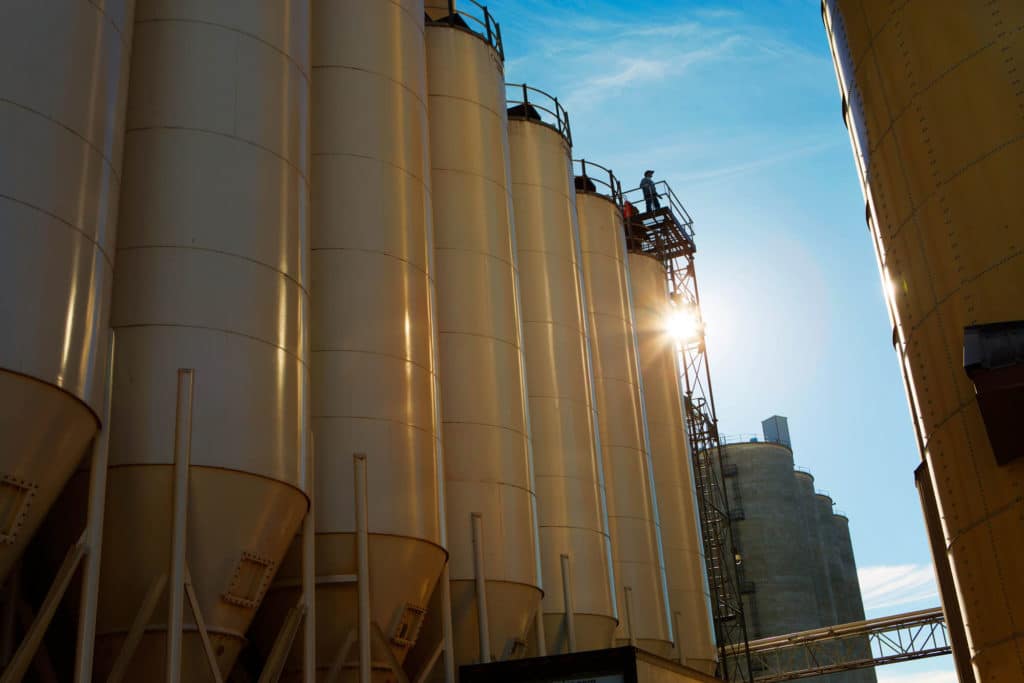 Contact Busch Grains
